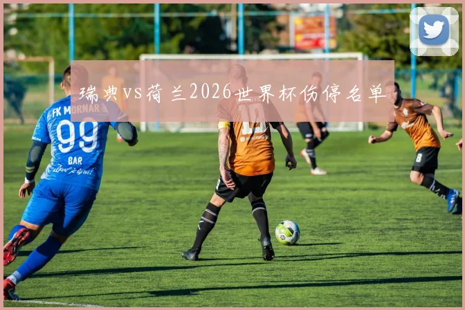 瑞典vs荷兰2026世界杯伤停名单