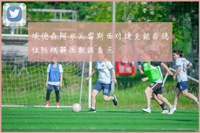 埃德森阿尔瓦雷斯面对捷克能否稳住防线解围数据看点