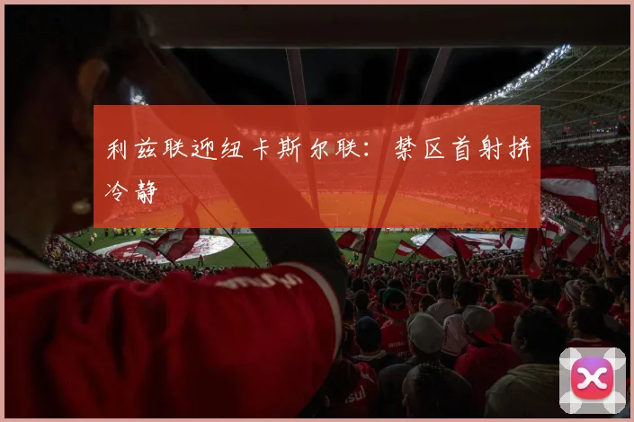 利兹联迎纽卡斯尔联:禁区首射拼冷静