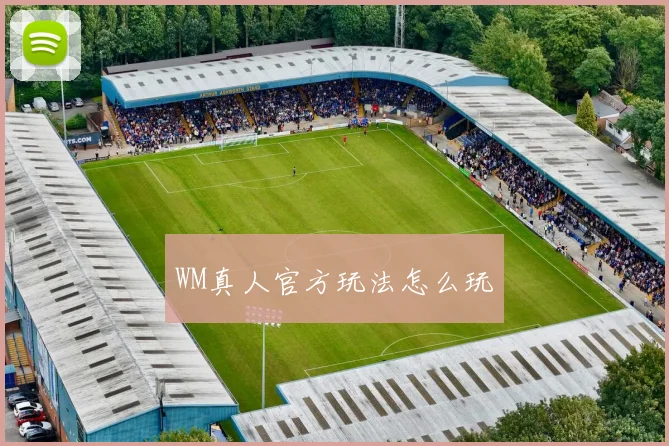 WM真人官方玩法怎么玩