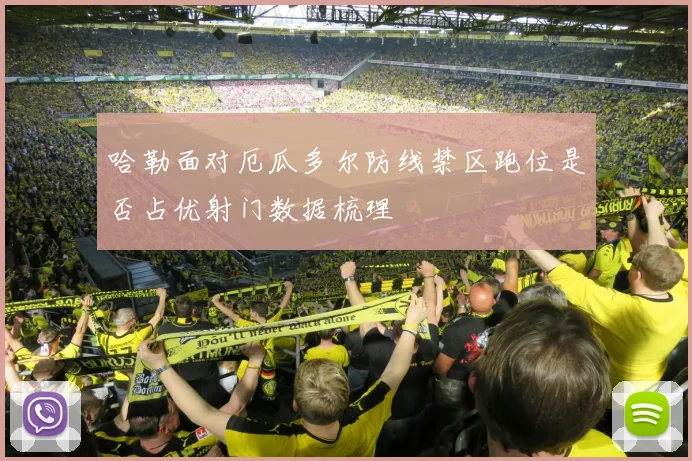 哈勒面对厄瓜多尔防线禁区跑位是否占优射门数据梳理