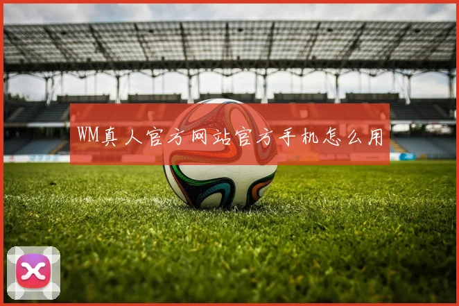 WM真人官方网站官方手机怎么用